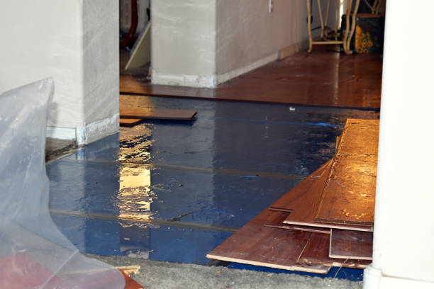 Professional Basement Flood Cleanup technician working in Sanford, MI